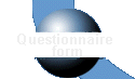 Questionnaire Form